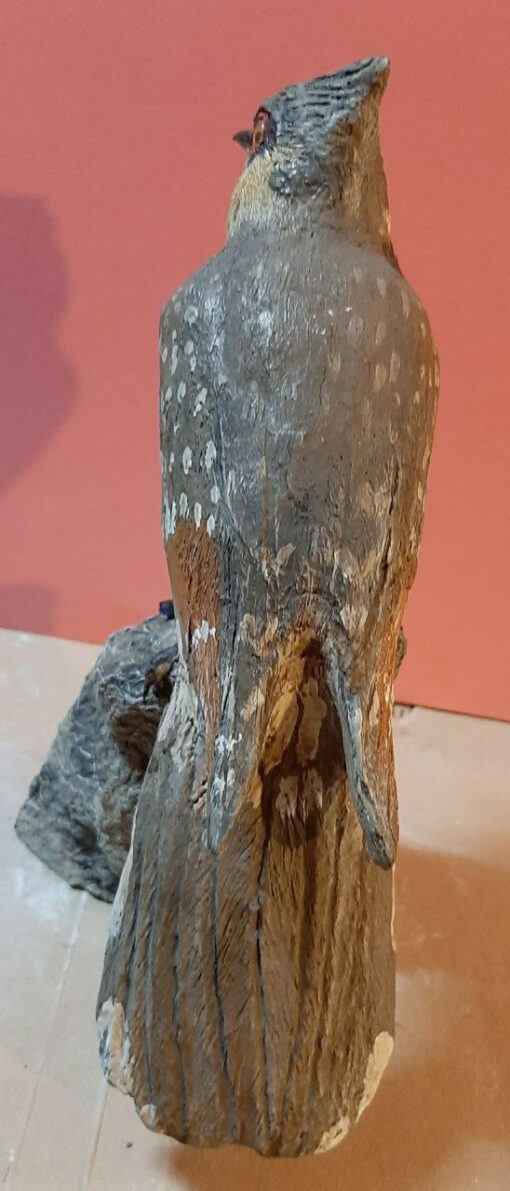 Cuculo dal ciuffo in scultura di argilla e dimensioni naturali da collezione - immagine 4