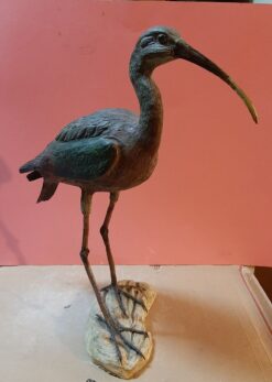 Mignattaio in scultura dim. Naturali da collezione