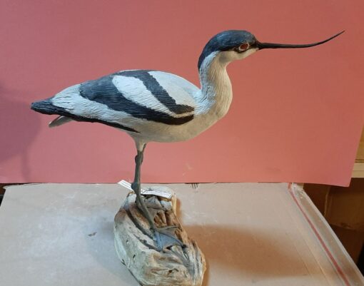 Avocetta in scultura di argilla e dimensioni naturali da collezione - immagine 2