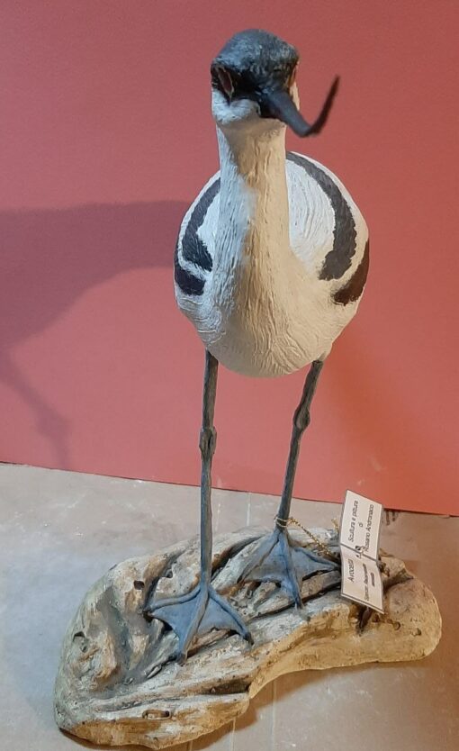 Avocetta in scultura di argilla e dimensioni naturali da collezione - immagine 3