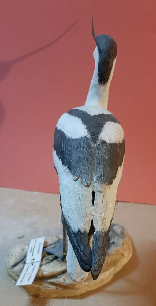 Avocetta in scultura di argilla e dimensioni naturali da collezione - immagine 4