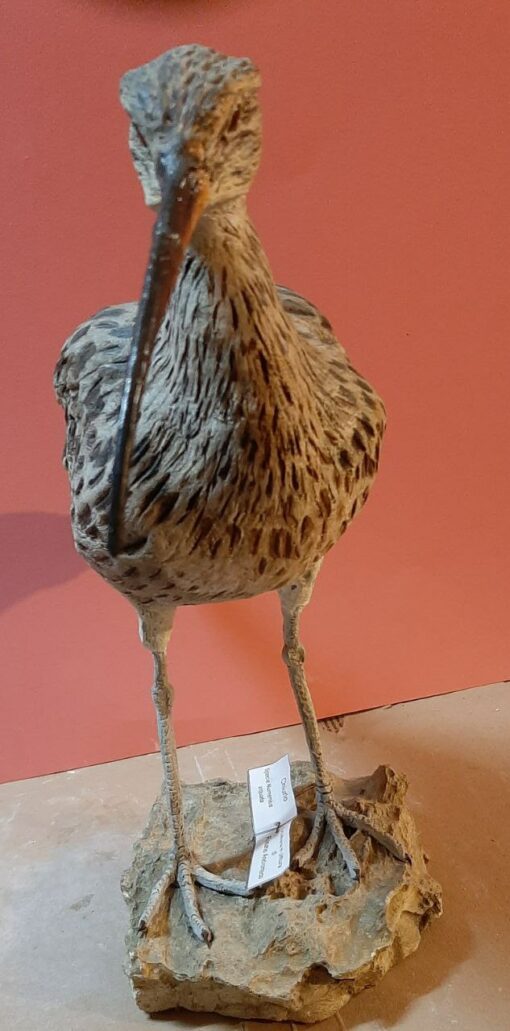 Chiurlo in scultura di argilla da collezione e in dimensioni naturali - immagine 3