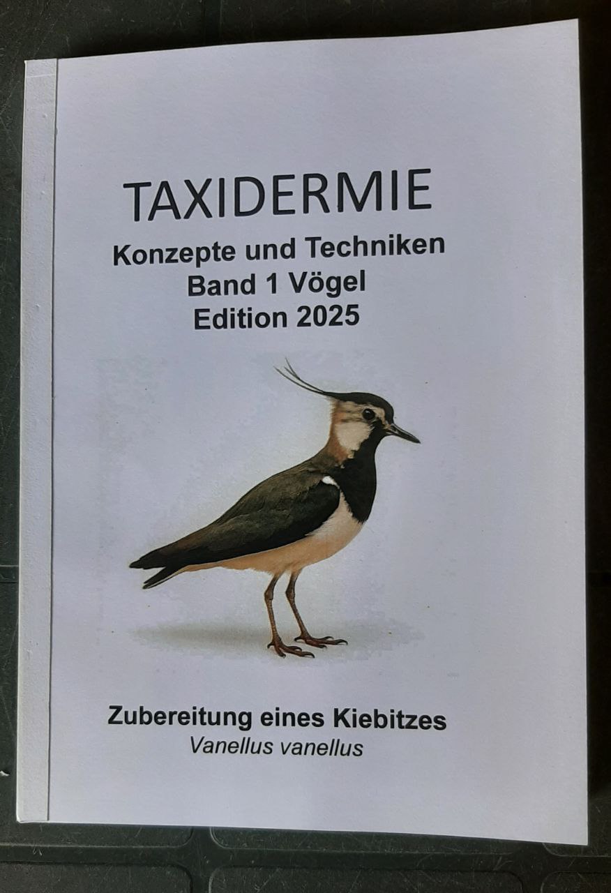 Taxidermie Zubereitung eines Kiebitzes Ausgabe 2025