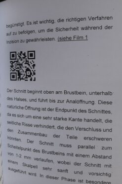 Alternative view of Taxidermie Zubereitung eines Kiebitzes Ausgabe 2025