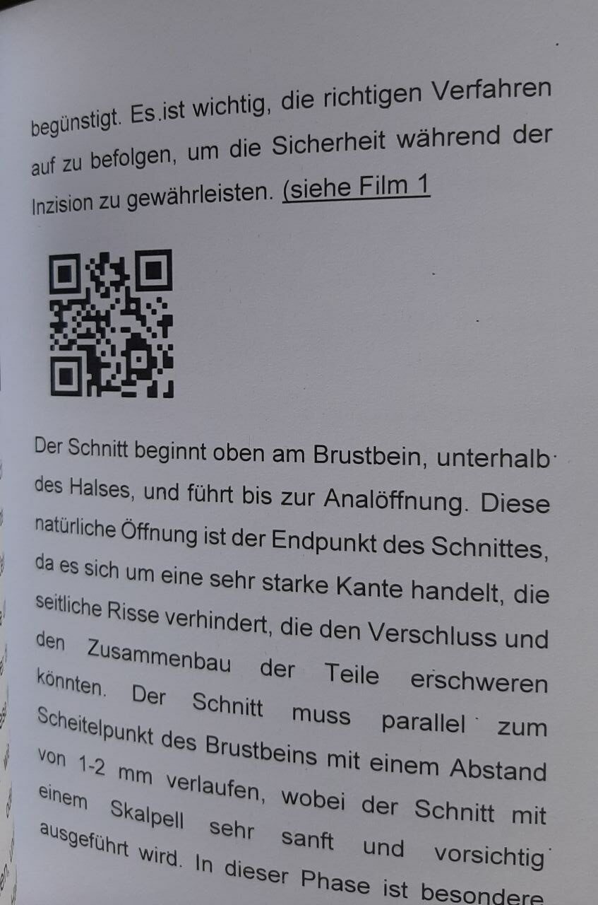 Taxidermie Zubereitung eines Kiebitzes Ausgabe 2025 - immagine 2