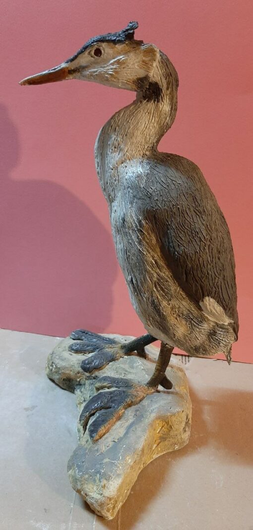Svasso maggiore scultura in dimensioni naturali da collezione