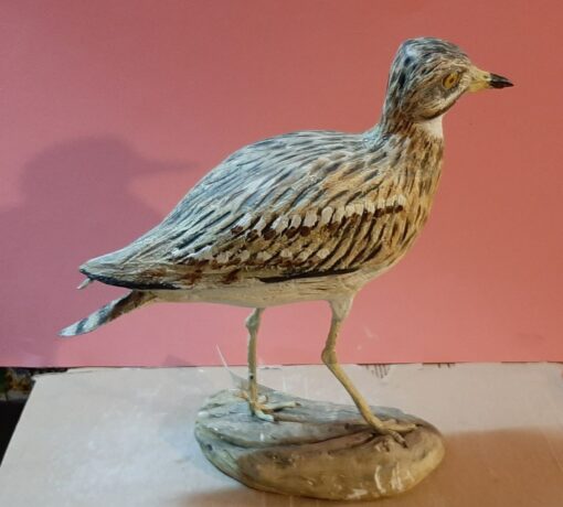 Occhione in scultura dim. Naturali da collezione - immagine 2