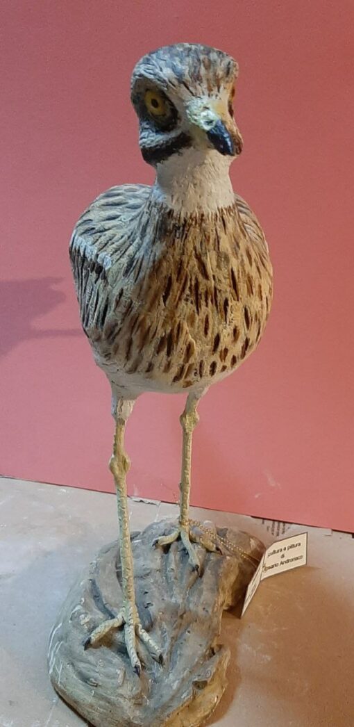 Occhione in scultura dim. Naturali da collezione - immagine 3