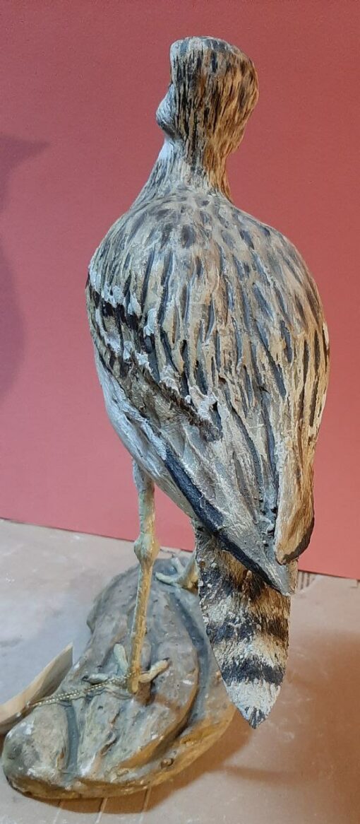 Occhione in scultura dim. Naturali da collezione - immagine 4