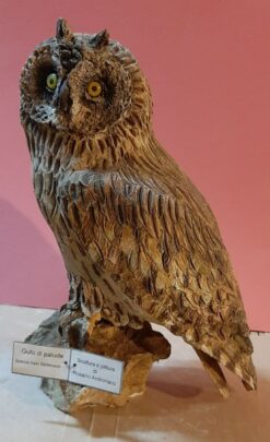 Gufo di palude in scultura dim. Naturali da collezione