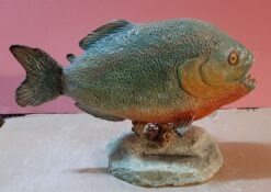 Piranha rosso in scultura dimensioni Naturali da collezione