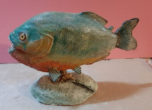 Piranha rosso in scultura dimensioni Naturali da collezione - immagine 2