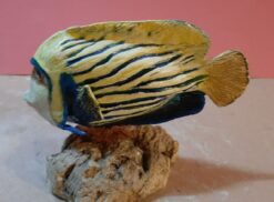 Pesce esotico scultura in dimensioni Naturali