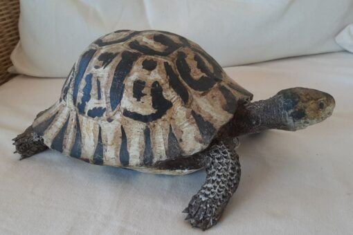 Tartaruga Greca in scultura di argilla da collezione - immagine 2