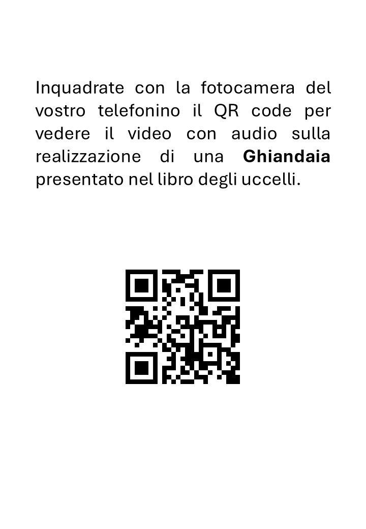 Tassidermia Preparazione di una Ghiandaia - immagine 3