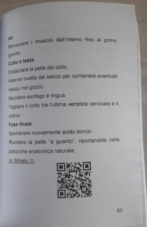 Tassidermia Preparazione di una Ghiandaia (Edizione 2025) - immagine 2
