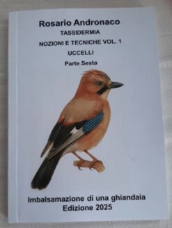 Tassidermia Preparazione di una Ghiandaia (Edizione 2025)