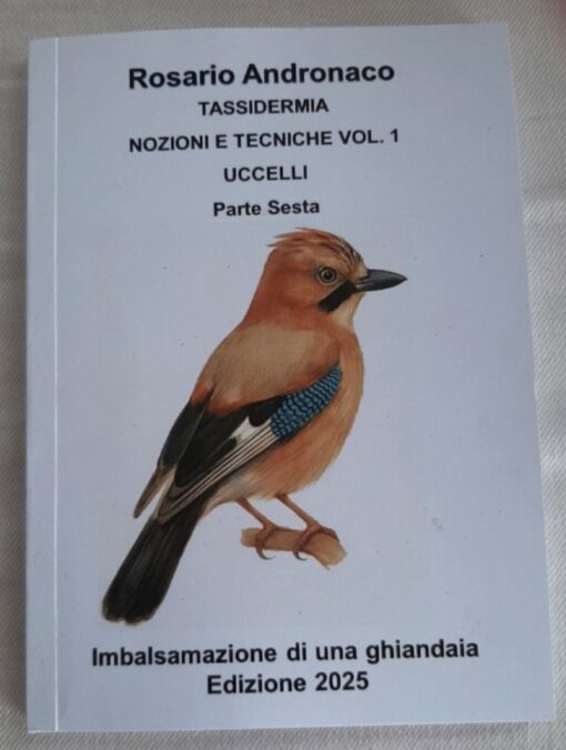 Tassidermia Preparazione di una Ghiandaia (Edizione 2025)
