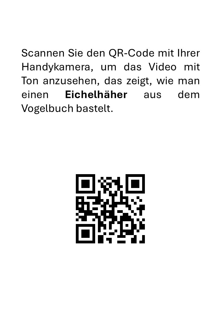 Präparation einer Eichelhäher - immagine 3