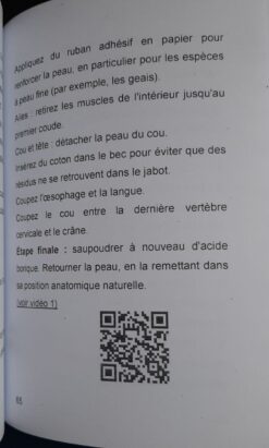 Alternative view of Taxidermie Préparation d'une geai édition 2025