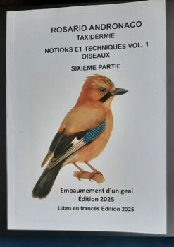 Taxidermie Préparation d'une geai édition 2025
