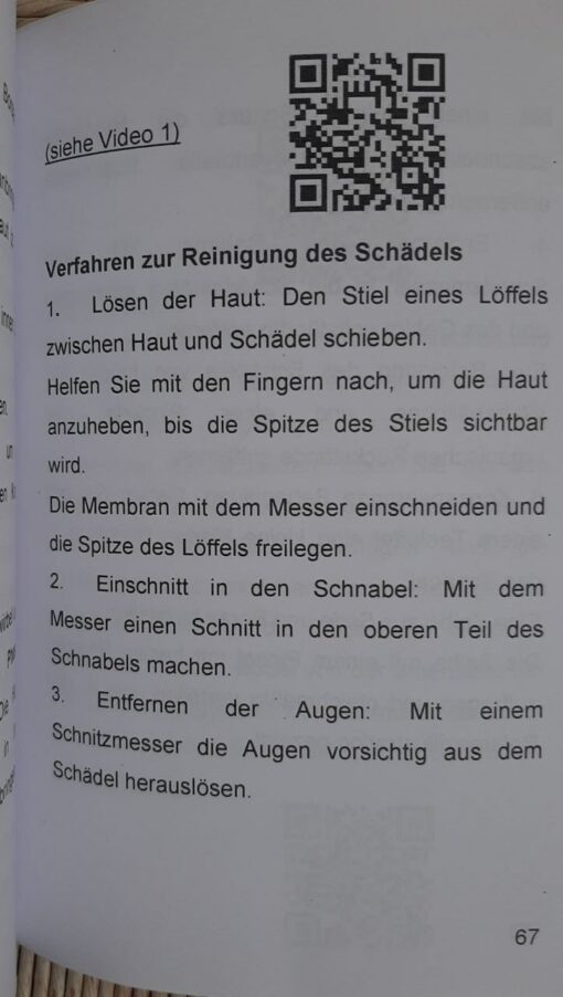 Präparation einer Eichelhäher-Ausgabe 2025 - immagine 2