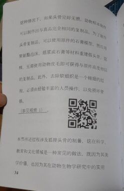 Alternative view of 动物头骨标本制作