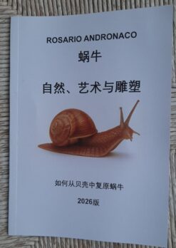 如何根据蜗牛壳复原蜗牛。