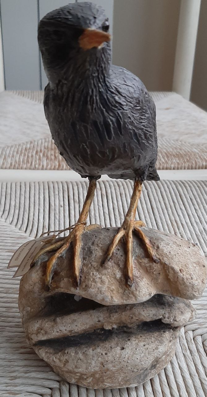 Storno nero, scultura in argilla - immagine 3