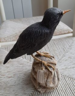 Alternative view of Storno nero, scultura in argilla