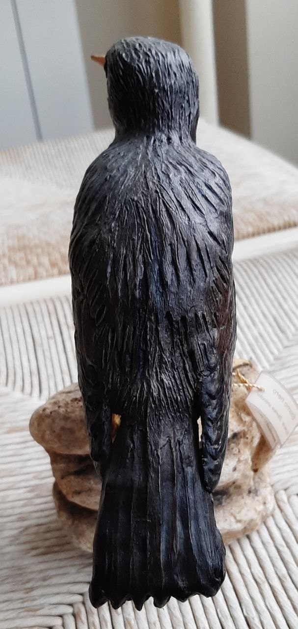 Storno nero, scultura in argilla - immagine 4