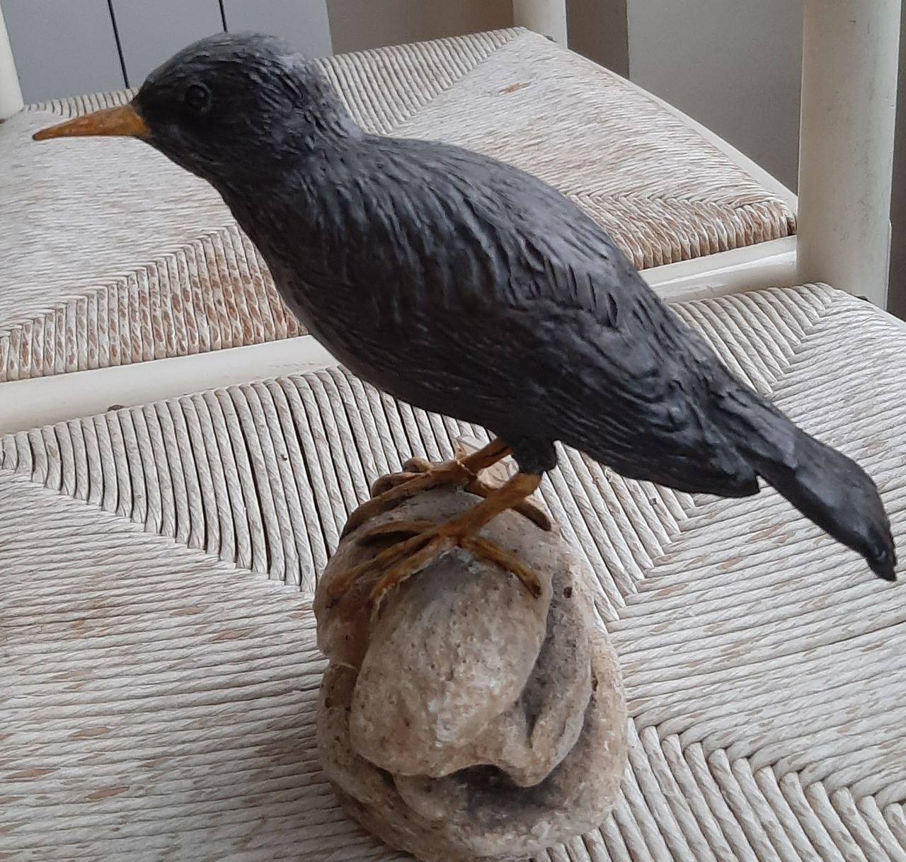 Storno nero, scultura in argilla